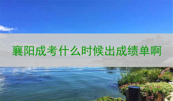 襄阳成考什么时候出成绩单啊
