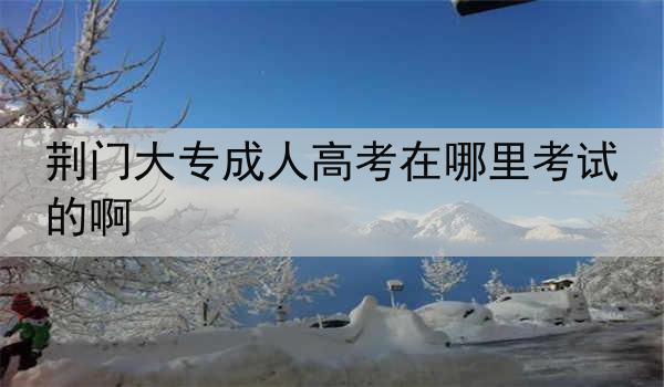 荆门大专成人高考在哪里考试的啊
