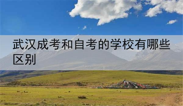 武汉成考和自考的学校有哪些区别