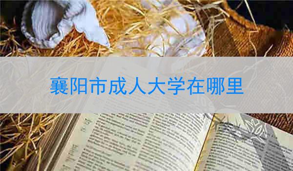 襄阳市成人大学在哪里
