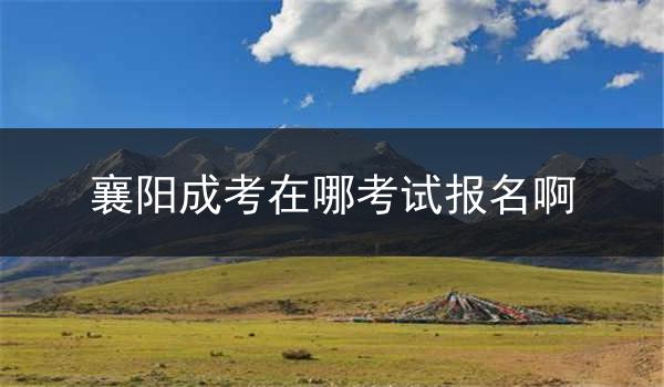 襄阳成考在哪考试报名啊