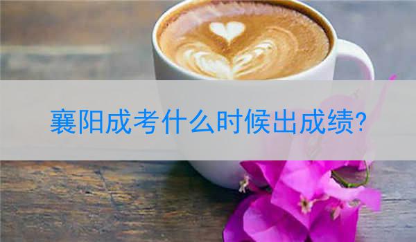 襄阳成考什么时候出成绩?