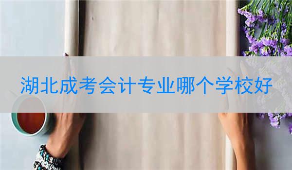 湖北成考会计专业哪个学校好