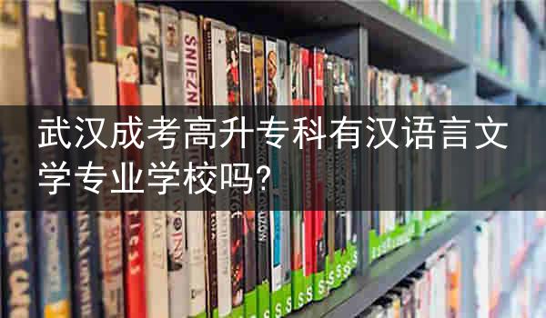 武汉成考高升专科有汉语言文学专业学校吗?