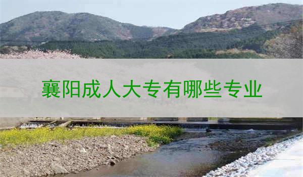 襄阳成人大专有哪些专业