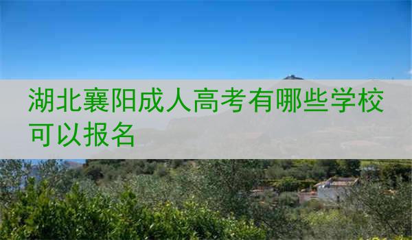 湖北襄阳成人高考有哪些学校可以报名