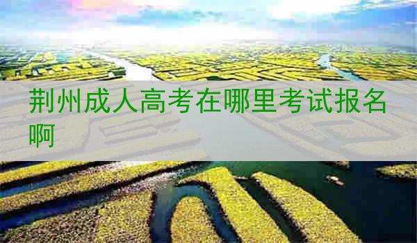 荆州成人高考在哪里考试报名啊
