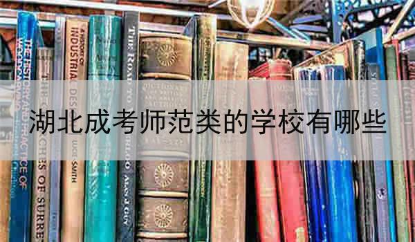 湖北成考师范类的学校有哪些