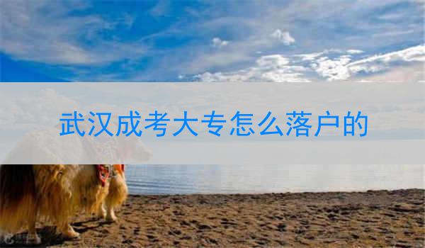 武汉成考大专怎么落户的