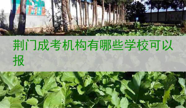 荆门成考机构有哪些学校可以报