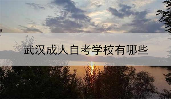 武汉成人自考学校有哪些