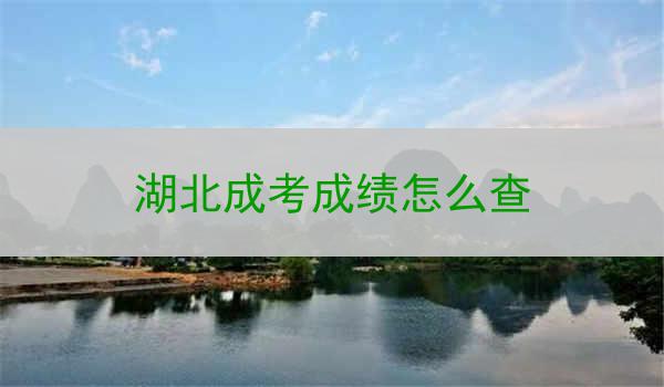 湖北成考成绩怎么查