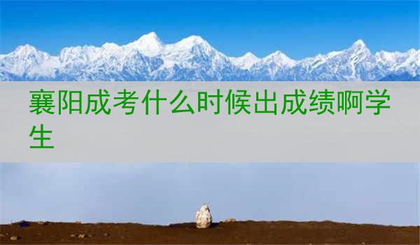 襄阳成考什么时候出成绩啊学生