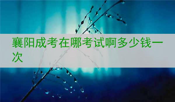 襄阳成考在哪考试啊多少钱一次