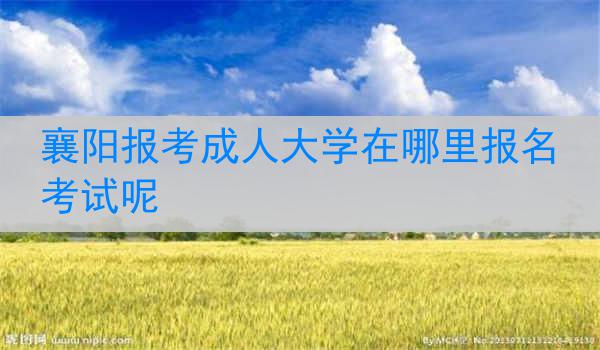 襄阳报考成人大学在哪里报名考试呢