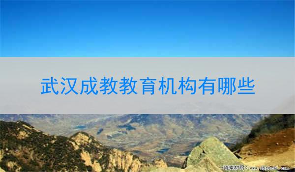 武汉成教教育机构有哪些