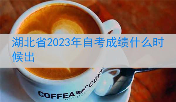 湖北省2023年自考成绩什么时候出