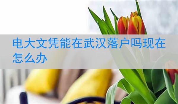 电大文凭能在武汉落户吗现在怎么办