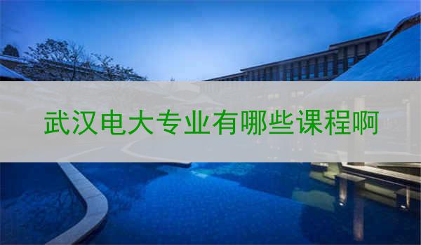 武汉电大专业有哪些课程啊