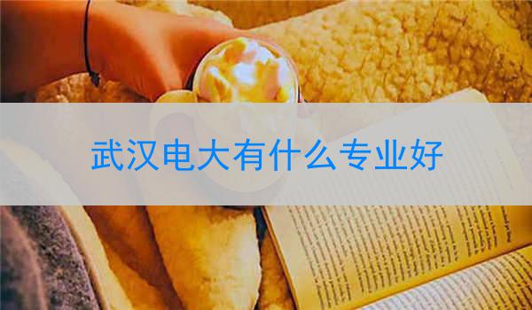 武汉电大有什么专业好