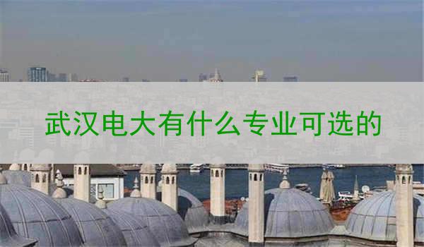 武汉电大有什么专业可选的