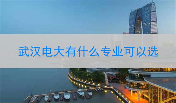武汉电大有什么专业可以选