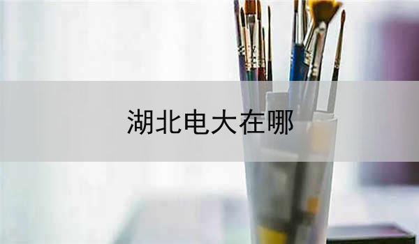 湖北电大在哪