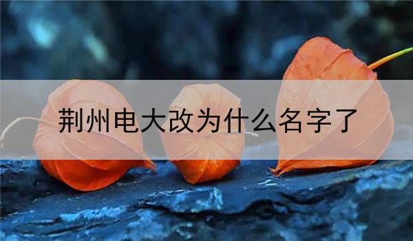 荆州电大改为什么名字了