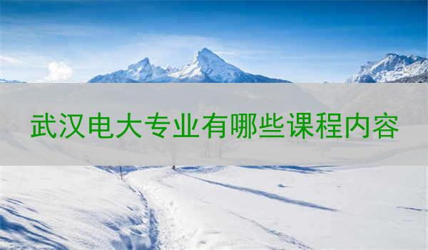 武汉电大专业有哪些课程内容
