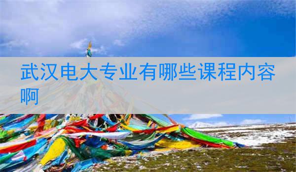 武汉电大专业有哪些课程内容啊