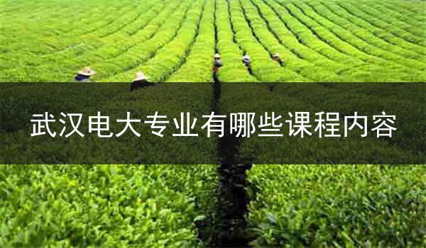 武汉电大专业有哪些课程内容