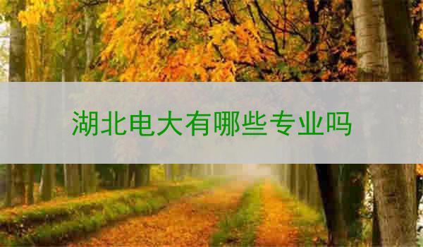 湖北电大有哪些专业吗
