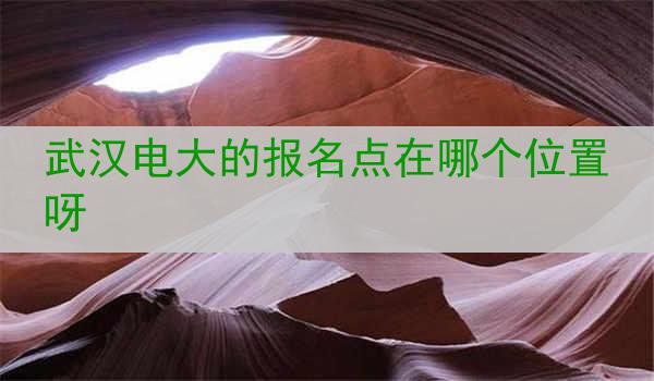 武汉电大的报名点在哪个位置呀