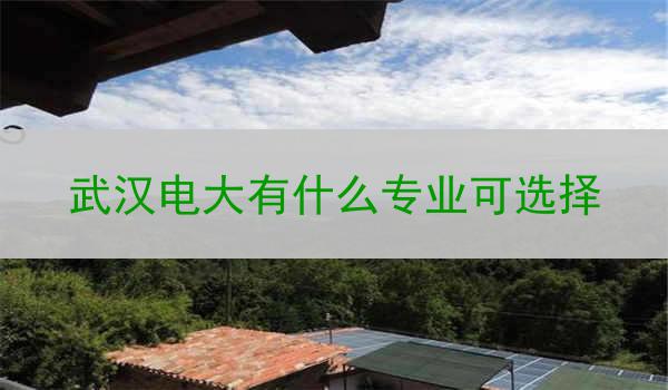 武汉电大有什么专业可选择