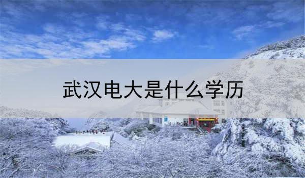 武汉电大是什么学历