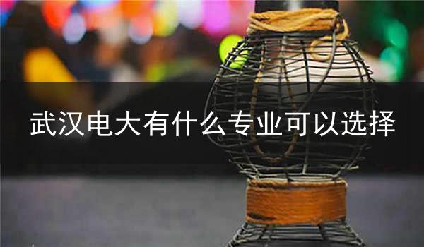 武汉电大有什么专业可以选择