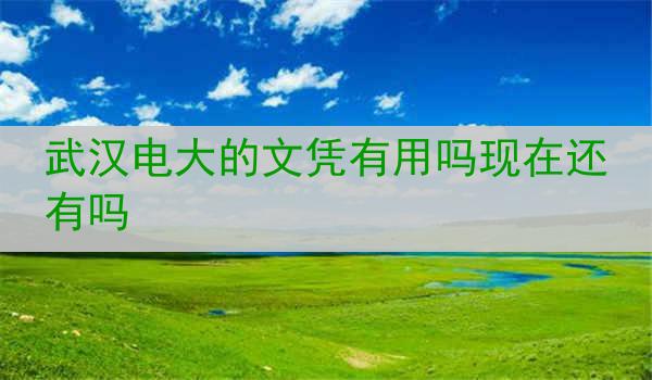 武汉电大的文凭有用吗现在还有吗