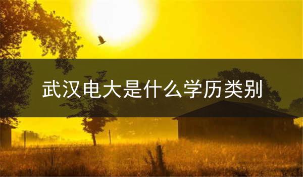 武汉电大是什么学历类别