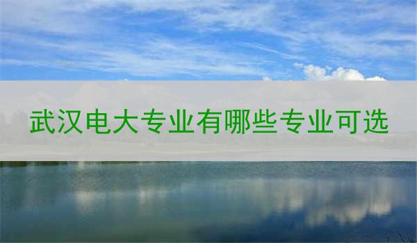 武汉电大专业有哪些专业可选