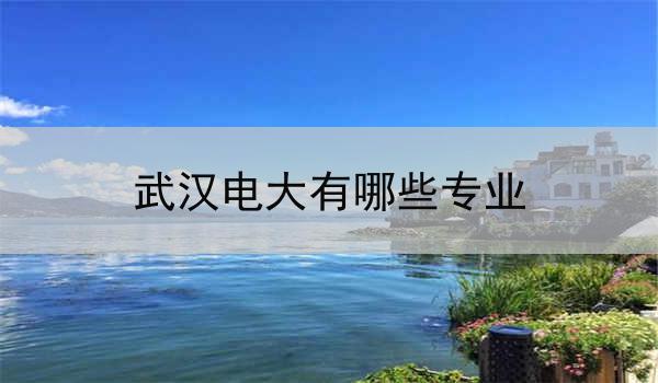 武汉电大有哪些专业