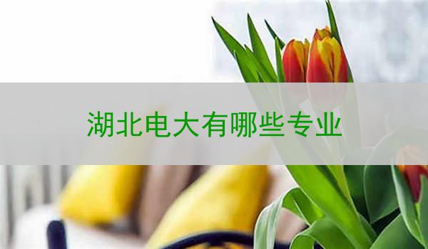 湖北电大有哪些专业