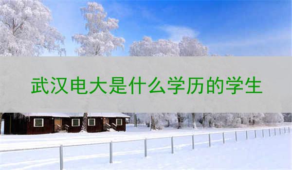 武汉电大是什么学历的学生