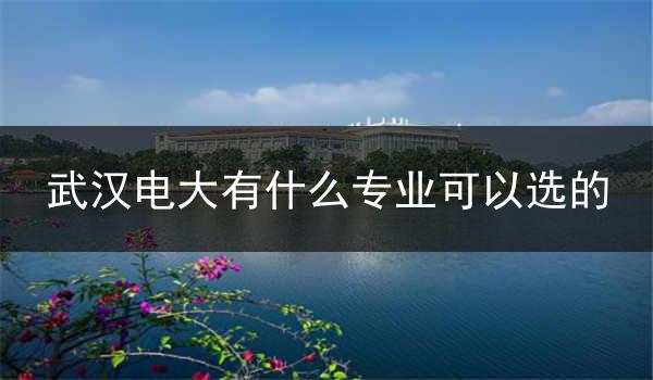 武汉电大有什么专业可以选的