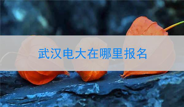 武汉电大在哪里报名