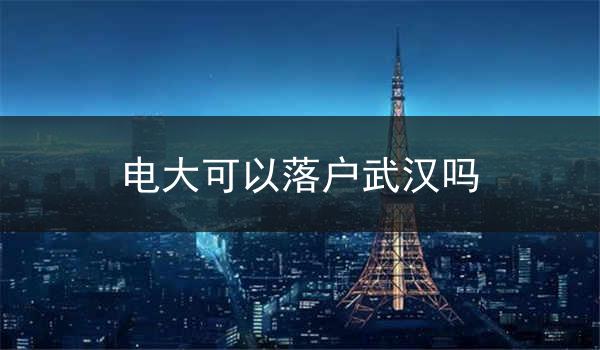 电大可以落户武汉吗