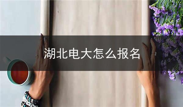 湖北电大怎么报名