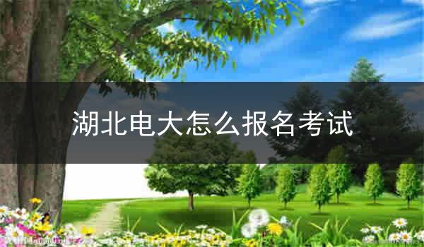 湖北电大怎么报名考试