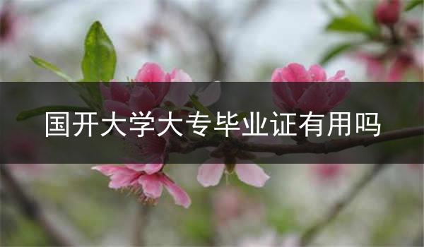 国开大学大专毕业证有用吗