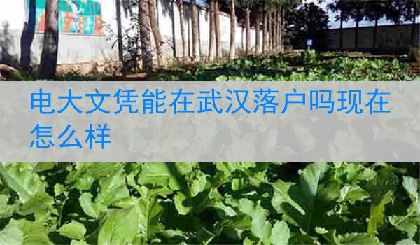 电大文凭能在武汉落户吗现在怎么样