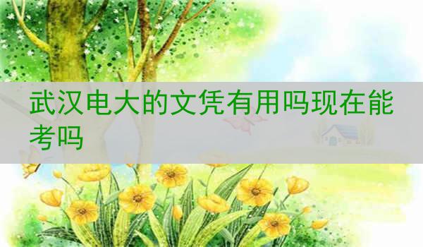 武汉电大的文凭有用吗现在能考吗